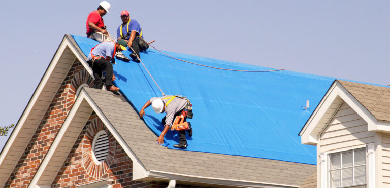 roofer websites